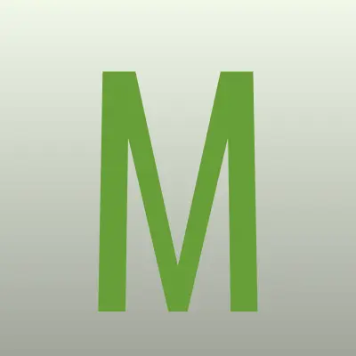 Магазин товаров для праздника, ИП Силаев И.И., лого-визитка